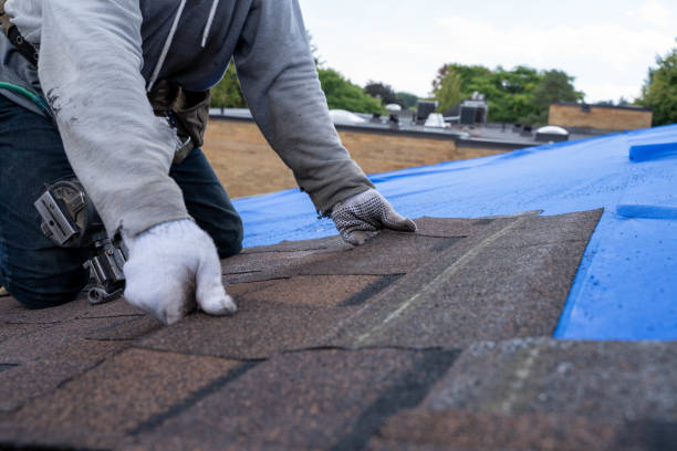Best Flat Roof Repair Services  in Mount Carmel, OH
